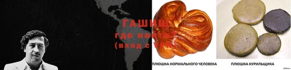 apvp Алзамай
