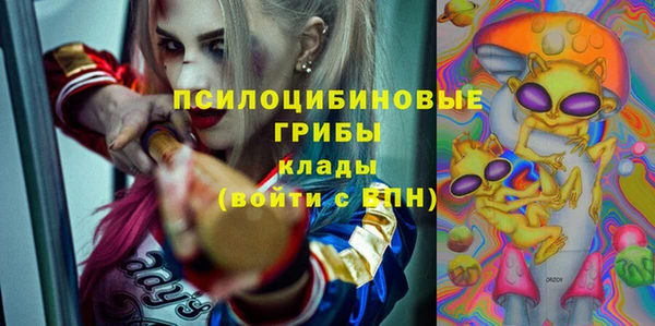 хмурый Алексеевка