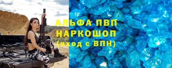 apvp Алзамай