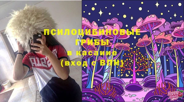 хмурый Алексеевка