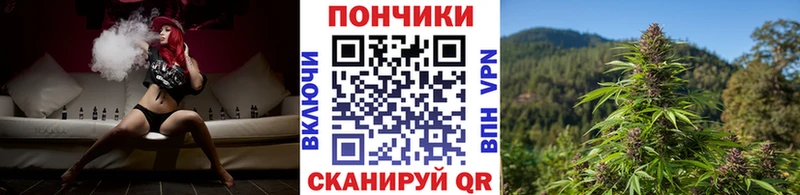 МЕГА маркетплейс  Бабаево  Конопля SATIVA & INDICA 